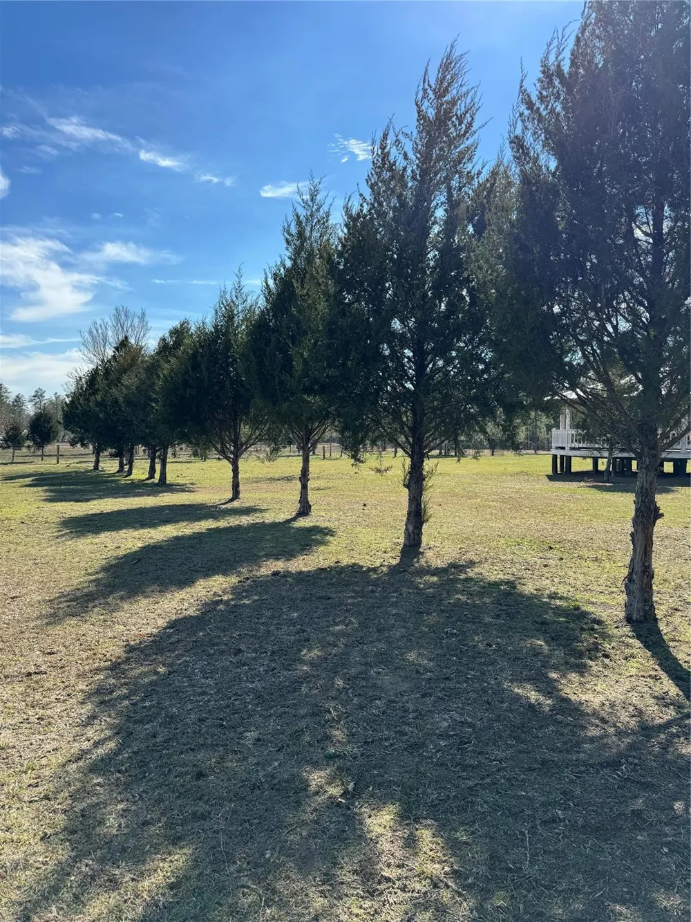 3660 Fm 1013 Road Hillister, TX 77624