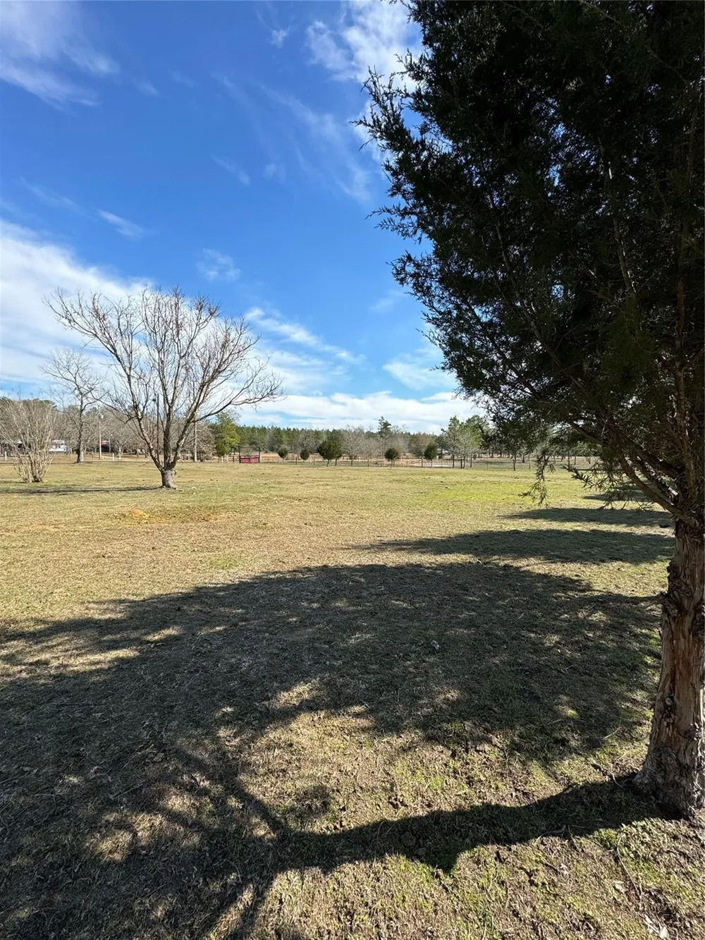 3660 Fm 1013 Road Hillister, TX 77624