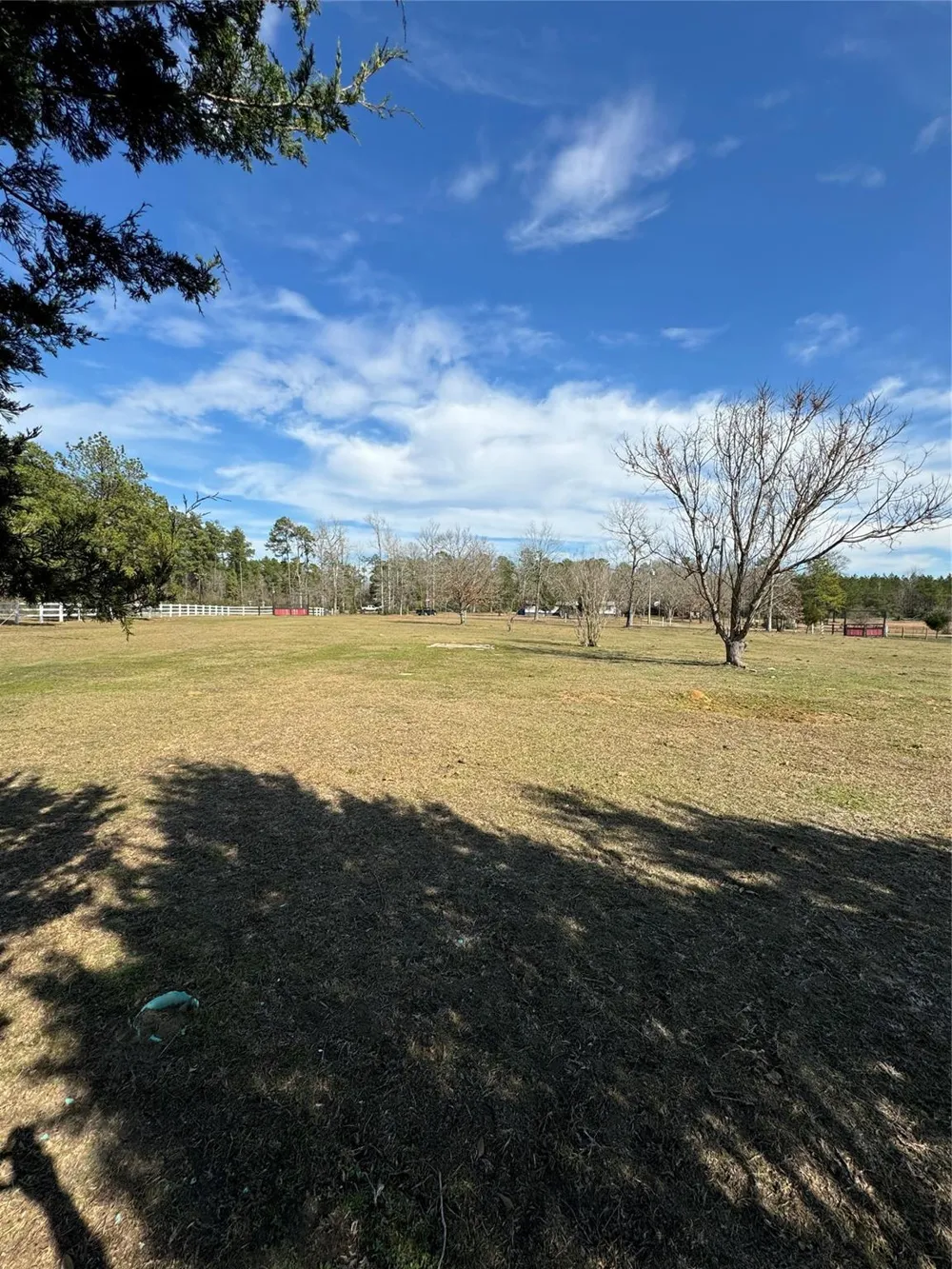 3660 Fm 1013 Road Hillister, TX 77624