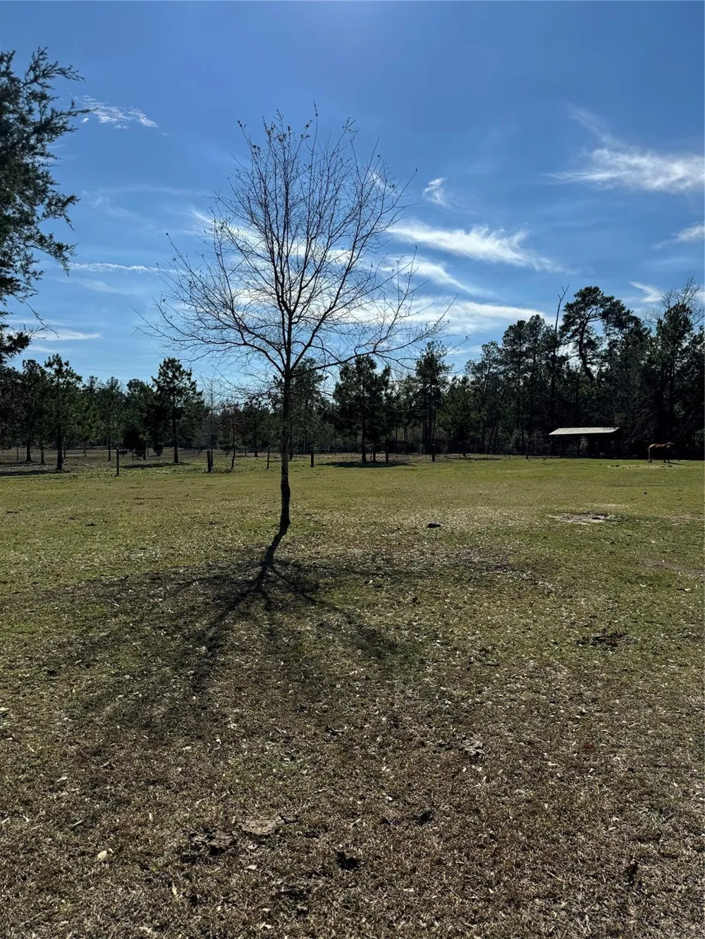 3660 Fm 1013 Road Hillister, TX 77624