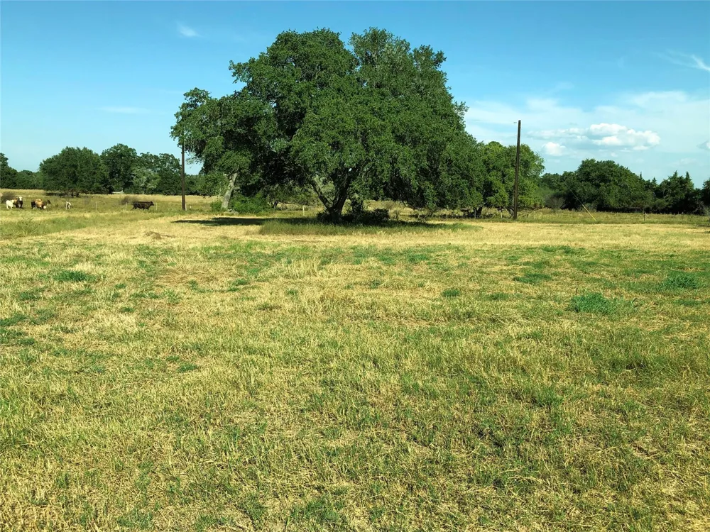 7 Pvt 1672 Hallettsville, TX 77964