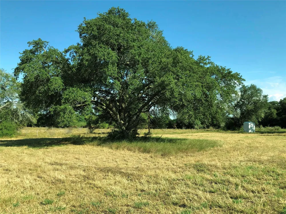 7 Pvt 1672 Hallettsville, TX 77964