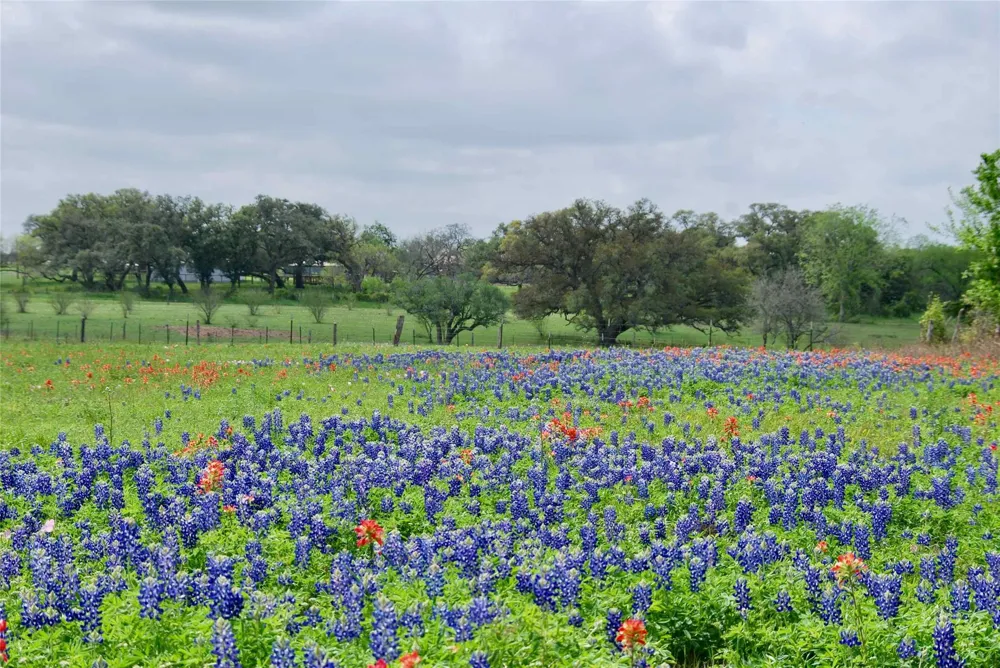 Us Hwy 90a Shiner, TX 77984