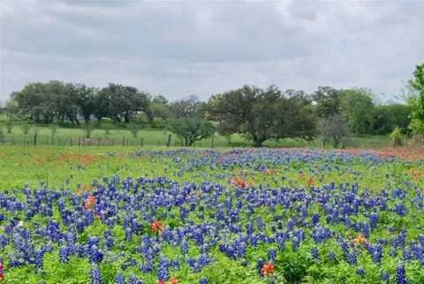 Us Hwy 90a