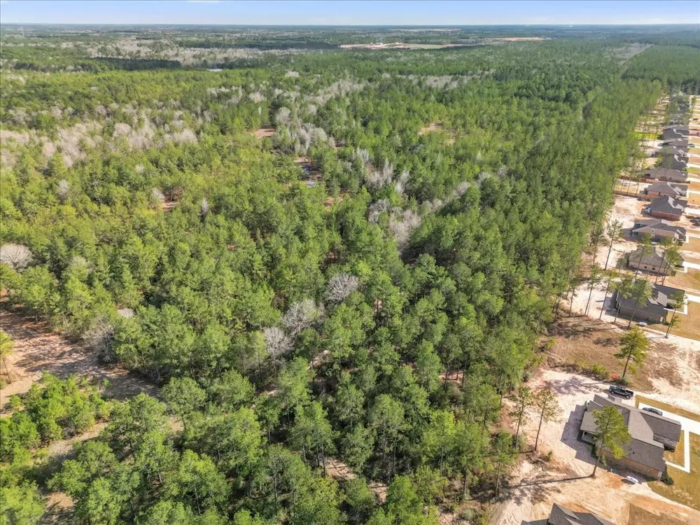 A0186 - Dease Conley, Tract 15, Acres 20 Conroe, TX 77303