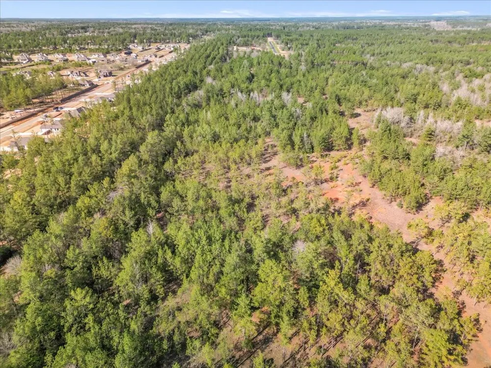 A0186 - Dease Conley, Tract 15, Acres 20 Conroe, TX 77303