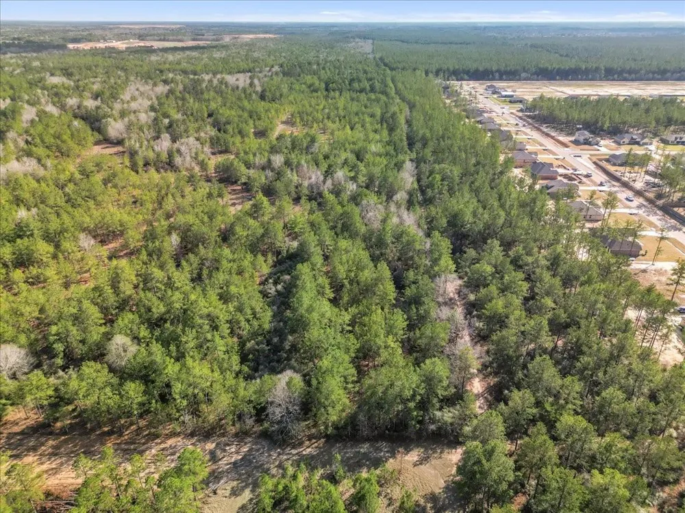 A0186 - Dease Conley, Tract 15, Acres 20 Conroe, TX 77303