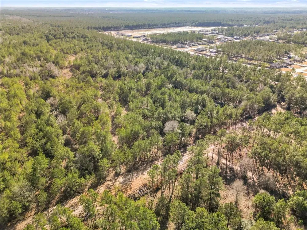 A0186 - Dease Conley, Tract 15, Acres 20 Conroe, TX 77303