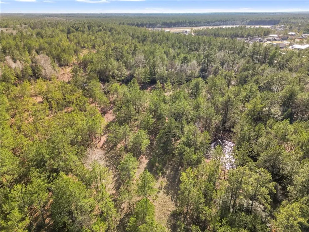 A0186 - Dease Conley, Tract 15, Acres 20 Conroe, TX 77303