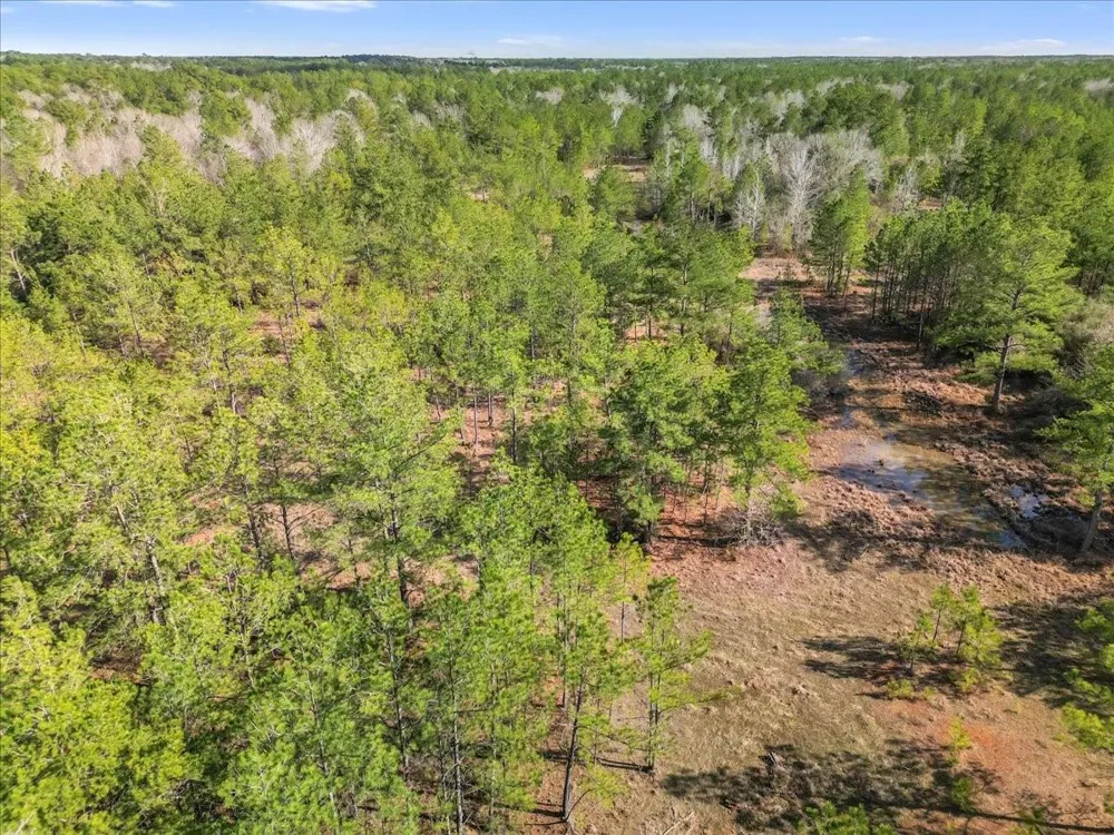 A0186 - Dease Conley, Tract 15, Acres 20 Conroe, TX 77303