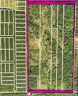 A0186 - Dease Conley, Tract 15, Acres 20 Conroe, TX 77303