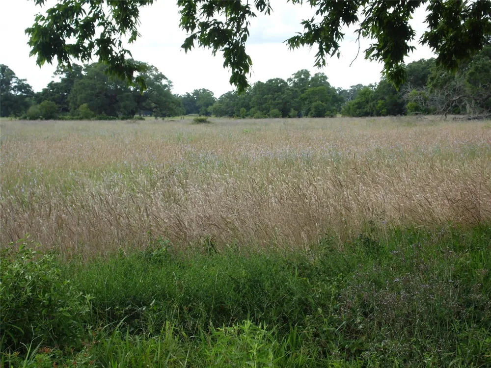 154 Bowie Road Cedar Lane, TX 77415