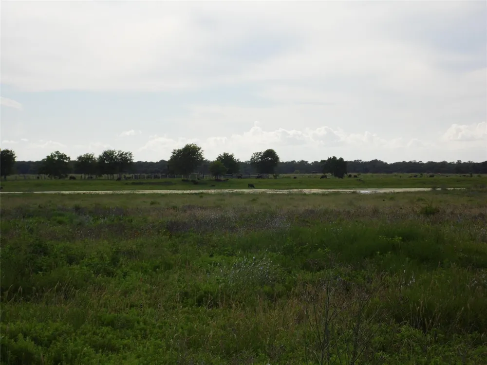154 Bowie Road Cedar Lane, TX 77415