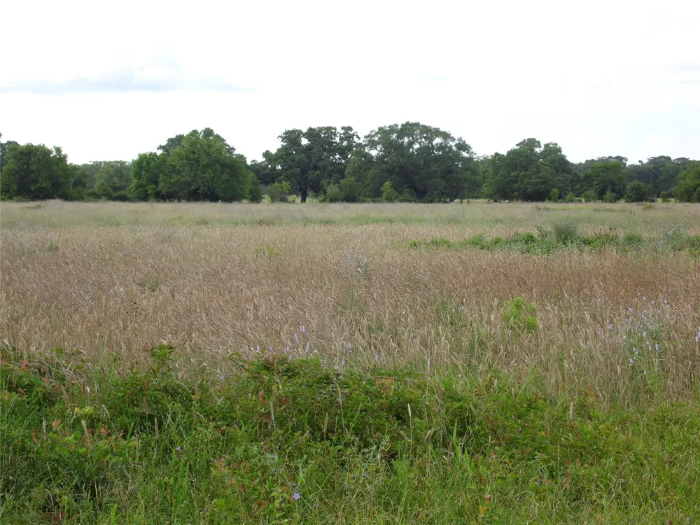 154 Bowie Road Cedar Lane, TX 77415
