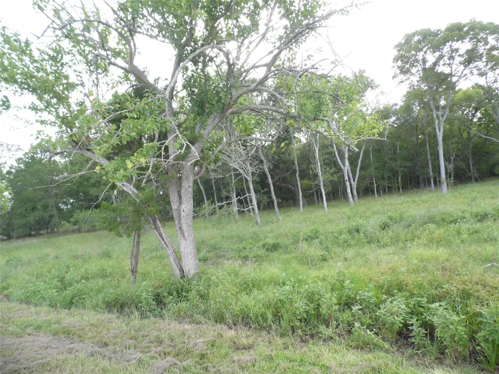 154 Bowie Road Cedar Lane, TX 77415