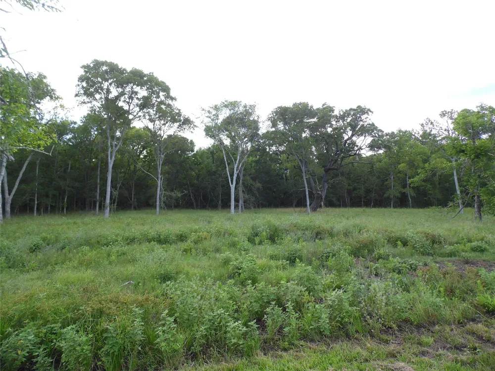 154 Bowie Road Cedar Lane, TX 77415