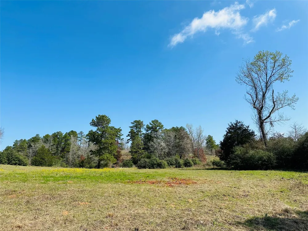 10 County Rd 212 Buffalo, TX 75831