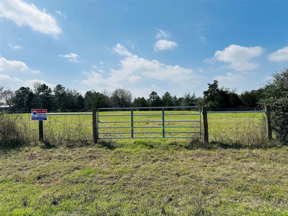 10 County Rd 212 Buffalo, TX 75831