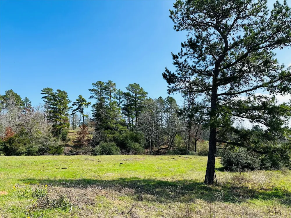 10 County Rd 212 Buffalo, TX 75831