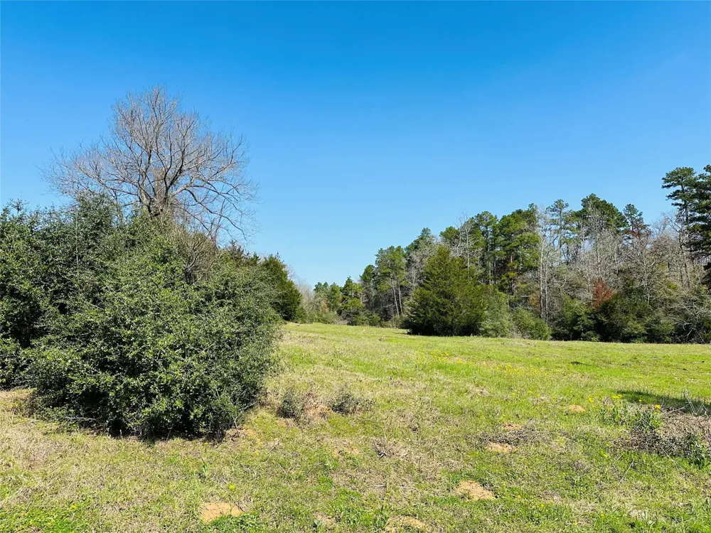 10 County Rd 212 Buffalo, TX 75831