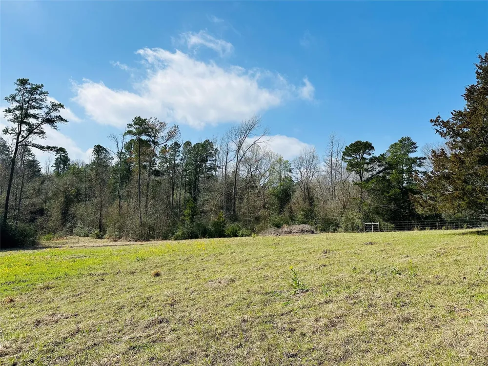 10 County Rd 212 Buffalo, TX 75831