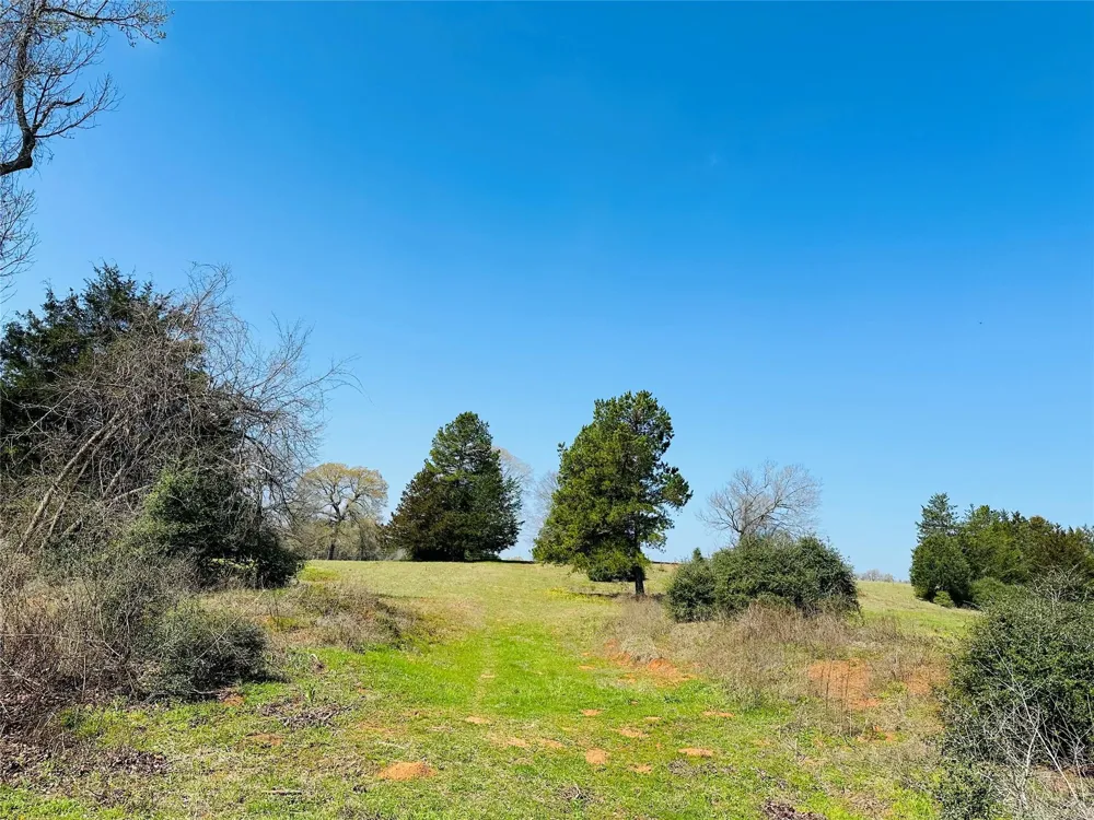 10 County Rd 212 Buffalo, TX 75831