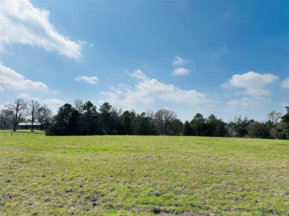 10 County Rd 212 Buffalo, TX 75831