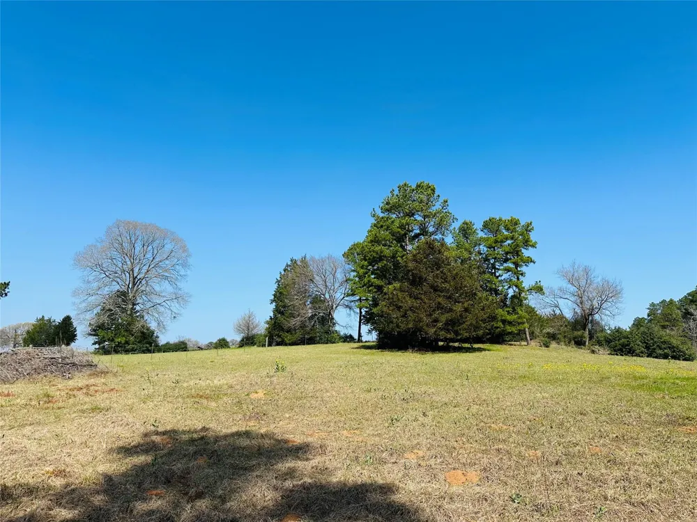 10 County Rd 212 Buffalo, TX 75831