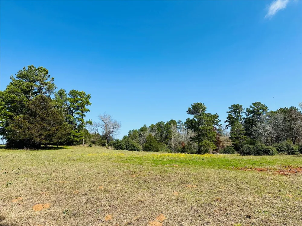 10 County Rd 212 Buffalo, TX 75831