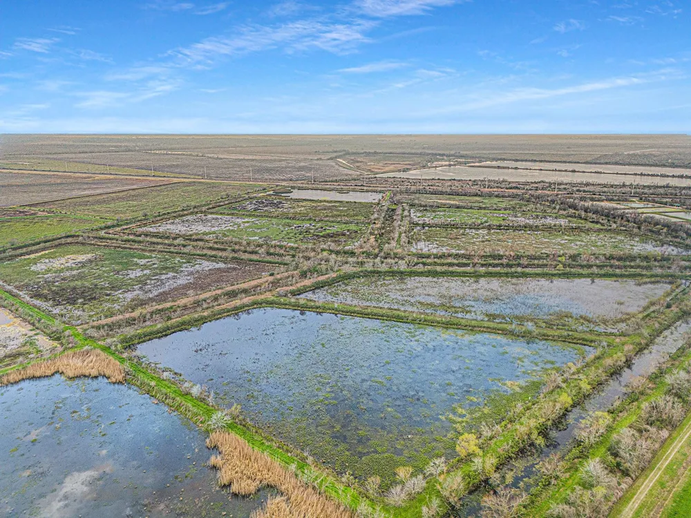 County Road 210 Liverpool, TX 77577
