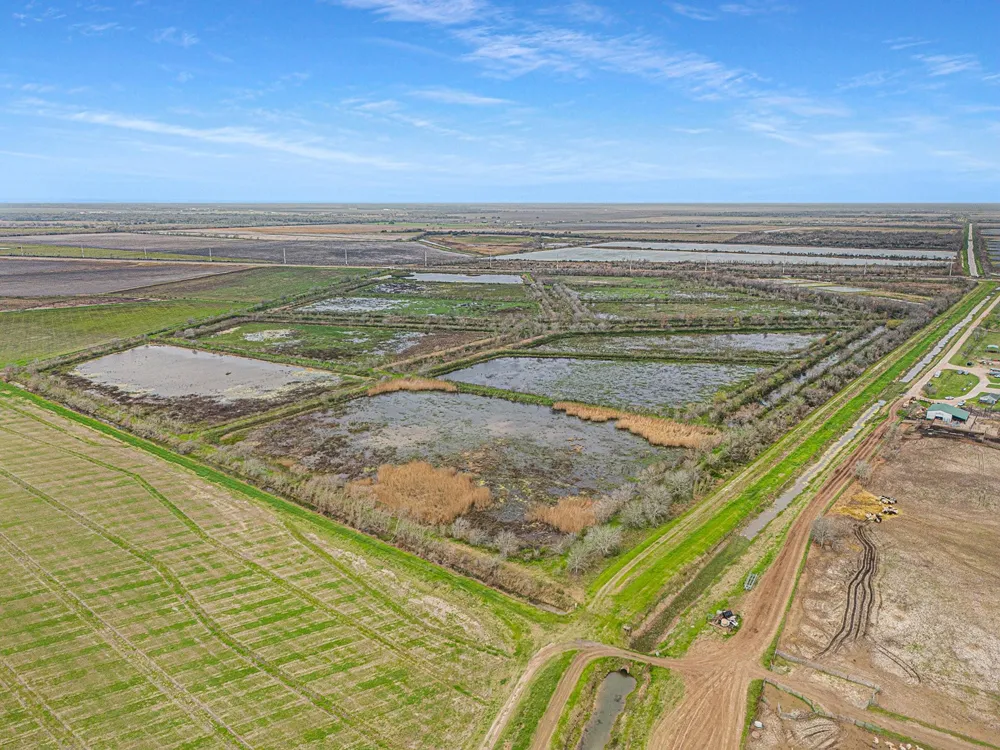 County Road 210 Liverpool, TX 77577