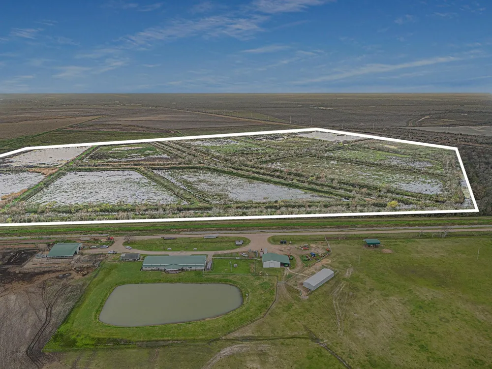County Road 210 Liverpool, TX 77577