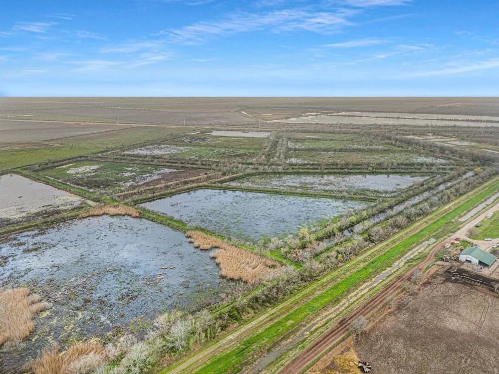 County Road 210 Liverpool, TX 77577