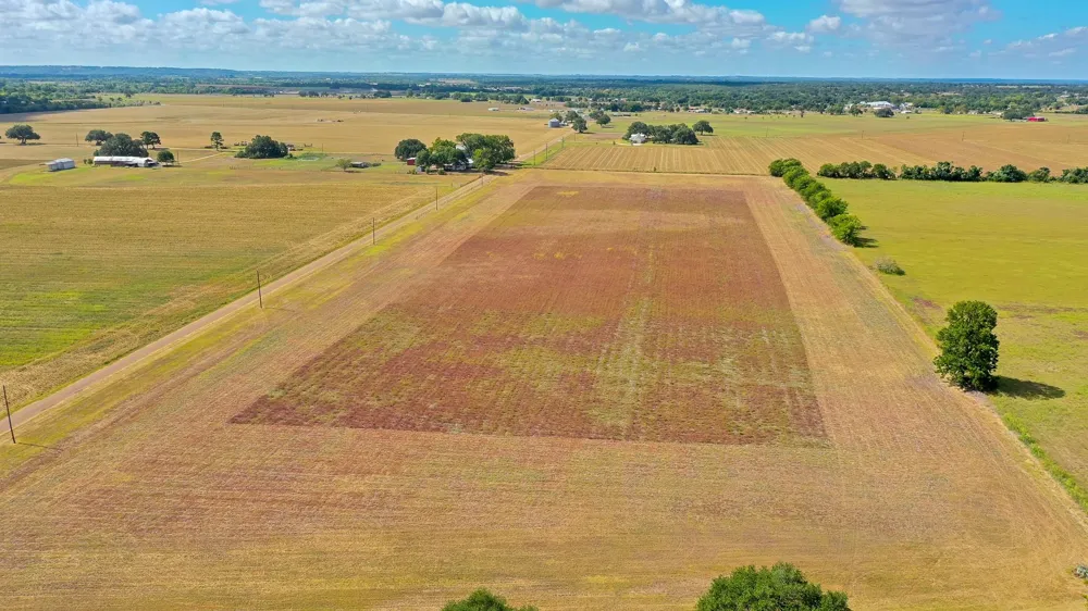 Belota Walla Road Plum, TX 78952