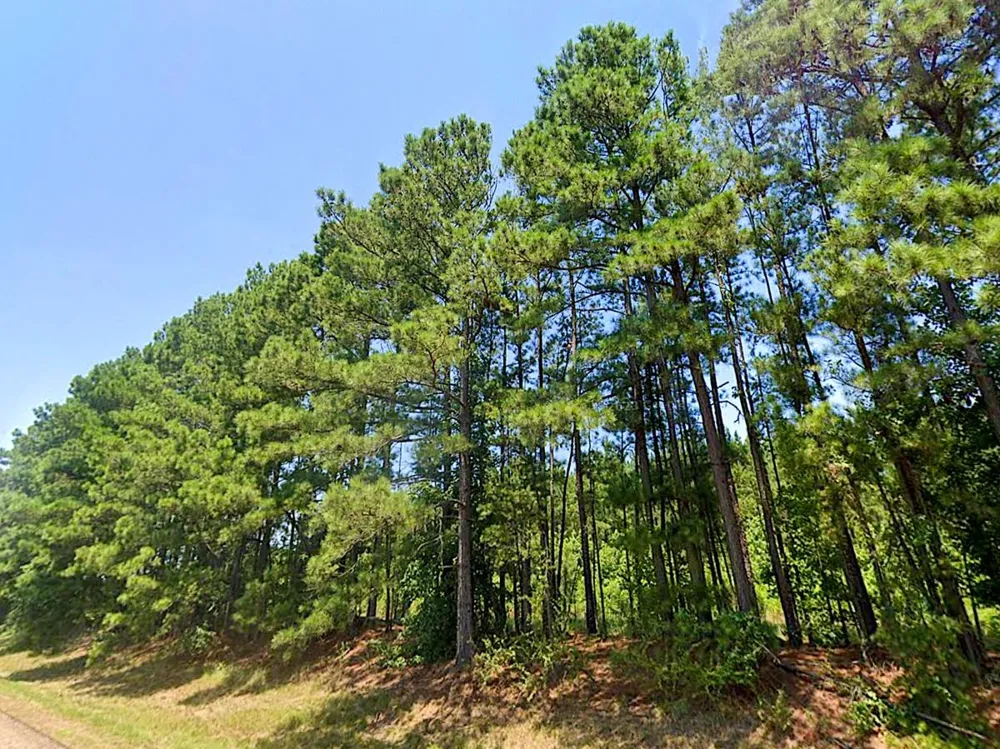 Hwy 155 Avinger, TX 75630