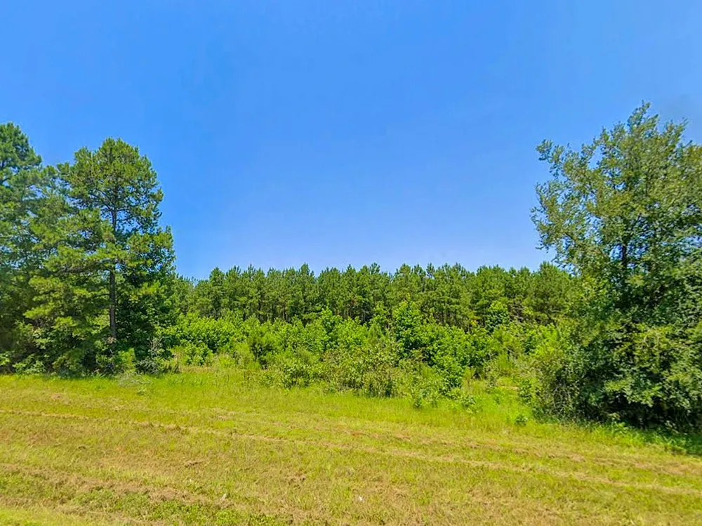 Hwy 155 Avinger, TX 75630