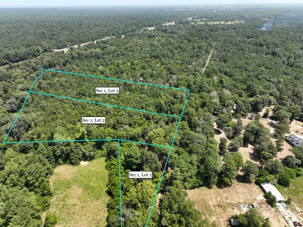 1 Lake Pool Rd Shepherd, TX 77371