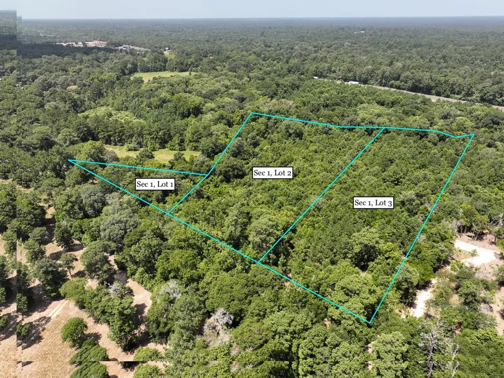1 Lake Pool Rd Shepherd, TX 77371