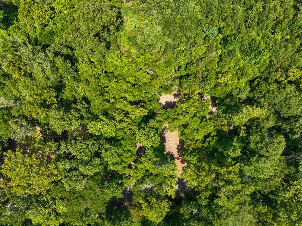 1 Lake Pool Rd Shepherd, TX 77371