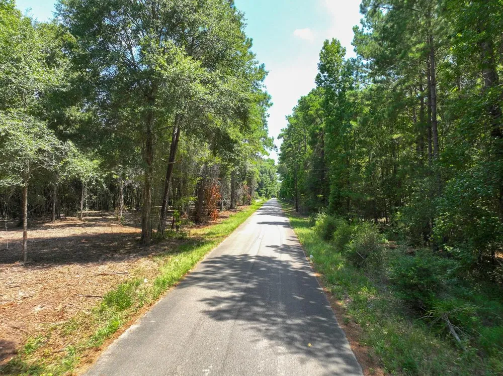 1 Lake Pool Rd Shepherd, TX 77371
