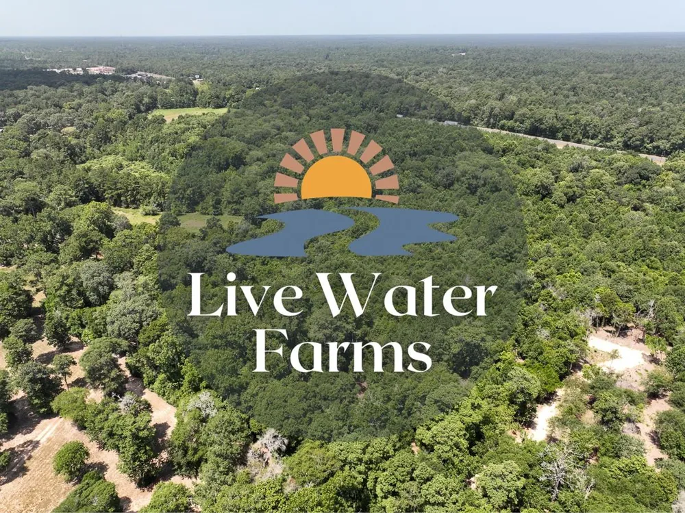 1 Lake Pool Rd Shepherd, TX 77371