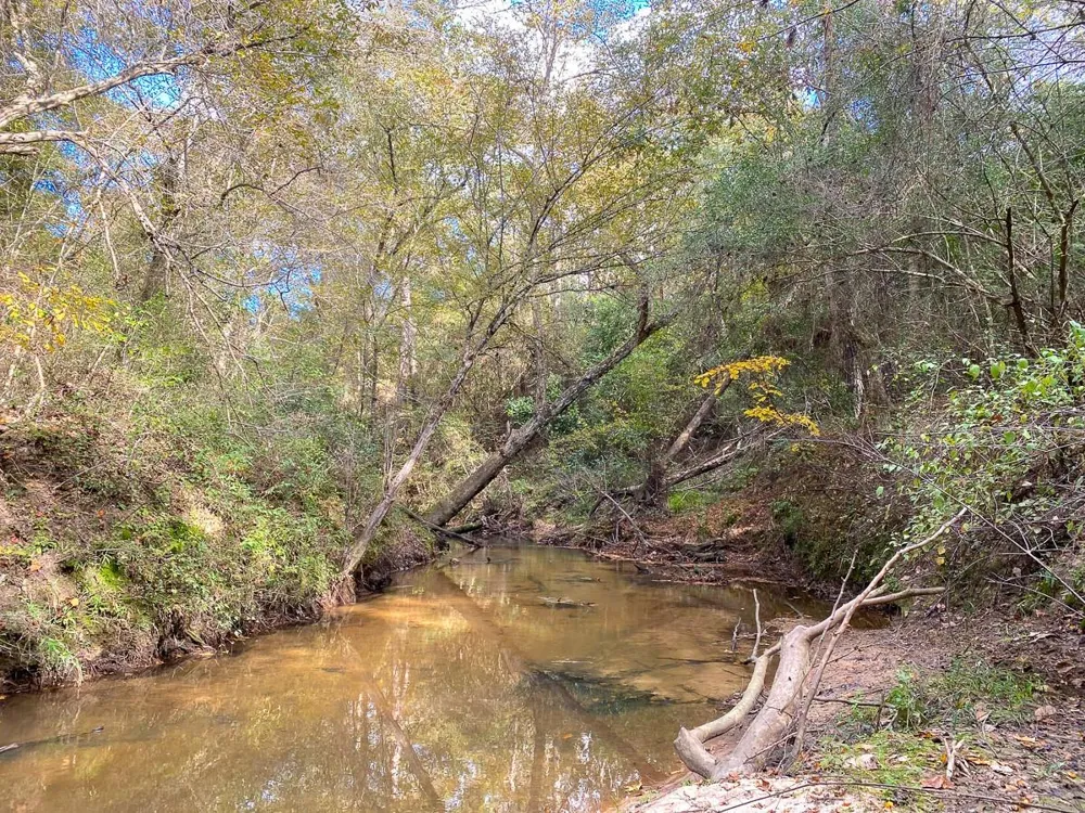 1 Lake Pool Rd Shepherd, TX 77371