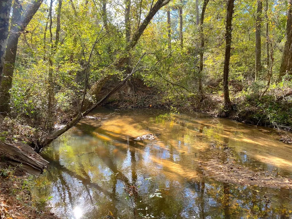 1 Lake Pool Rd Shepherd, TX 77371
