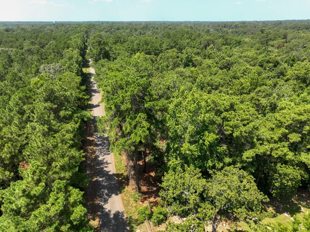 1 Lake Pool Rd Shepherd, TX 77371