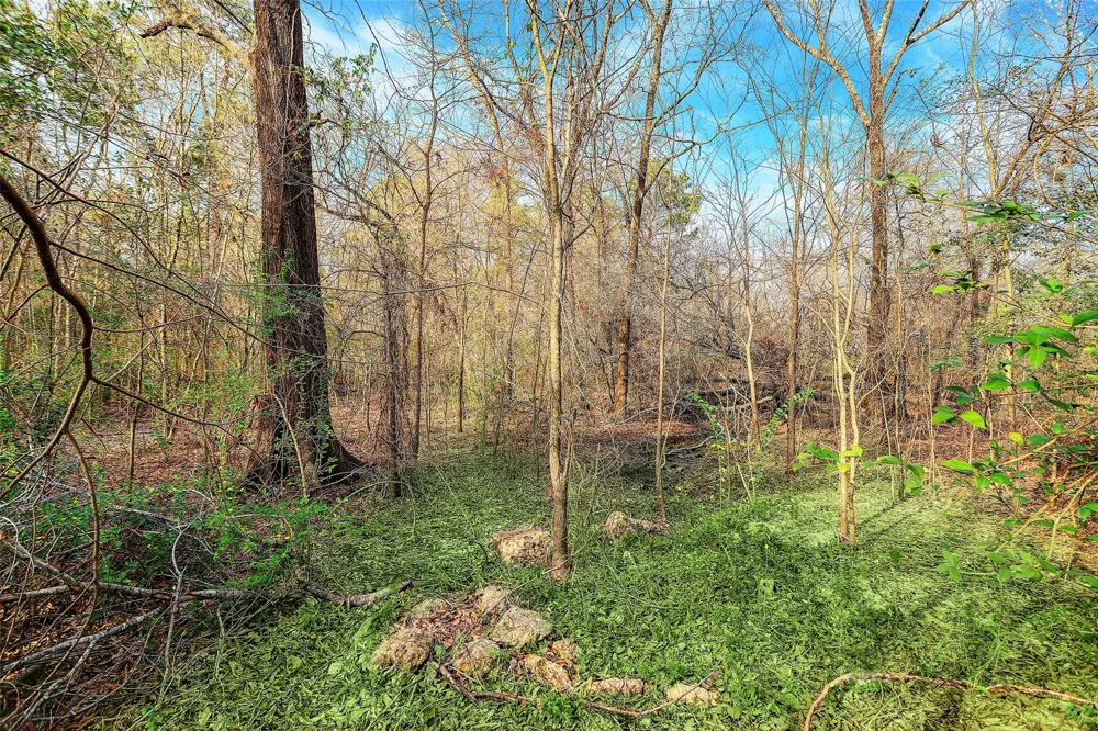 22648 Ford Road Porter, TX 77365