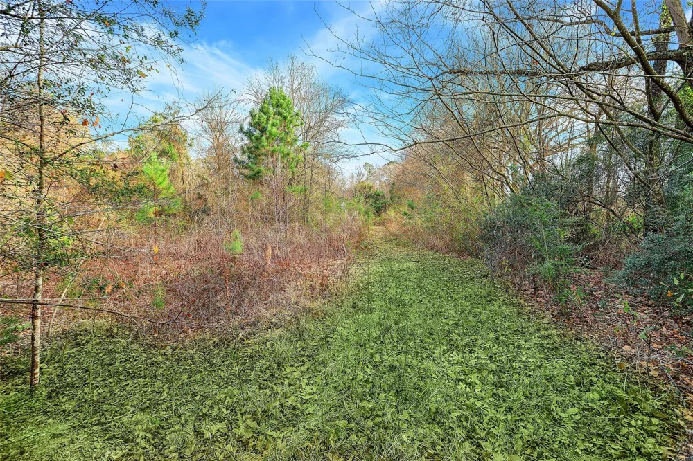 22648 Ford Road Porter, TX 77365