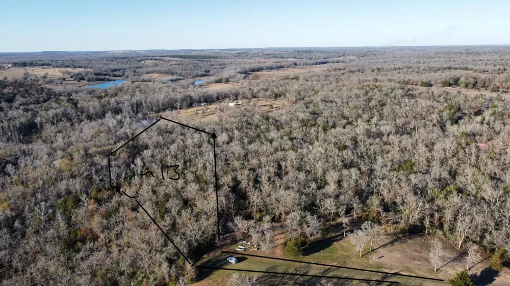 13 Ac Pr 387 Field Buffalo, TX 75831