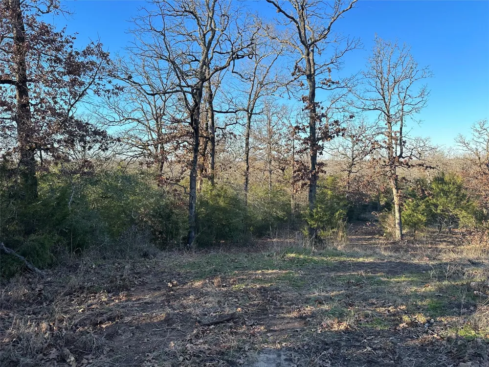 13 Ac Pr 387 Field Buffalo, TX 75831