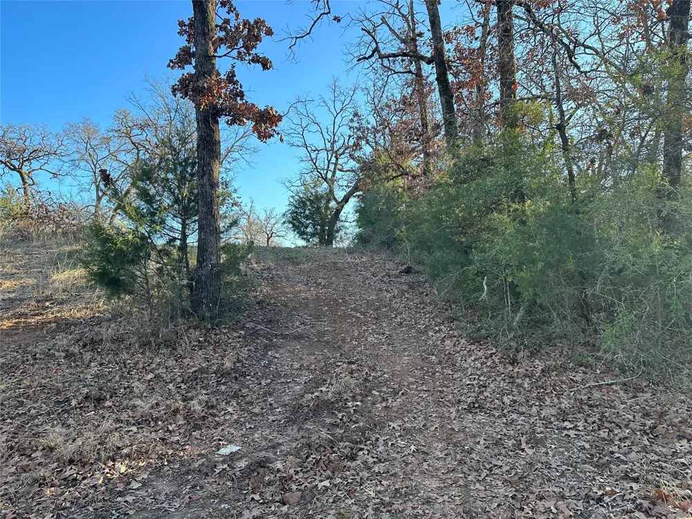 13 Ac Pr 387 Field Buffalo, TX 75831
