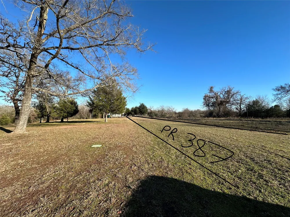 13 Ac Pr 387 Field Buffalo, TX 75831